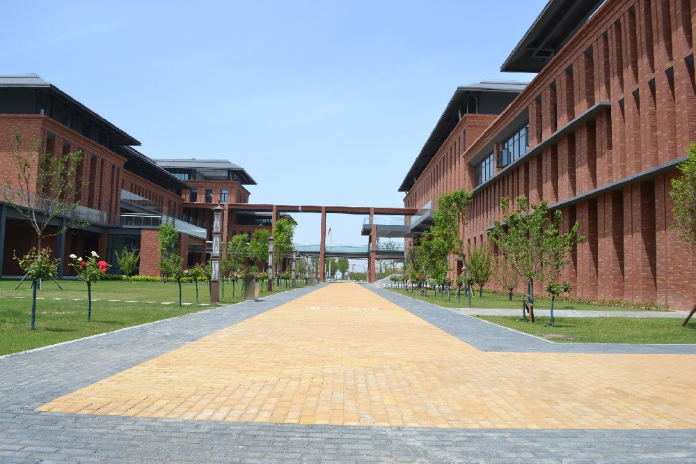 学校风景